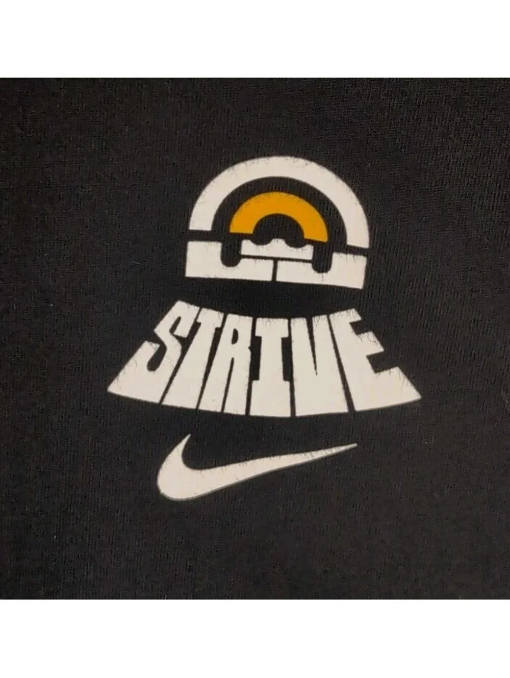 Nike LeBron James Strive For Greatness Lion Graphic Dri-FIT T-Shirt Black Medium